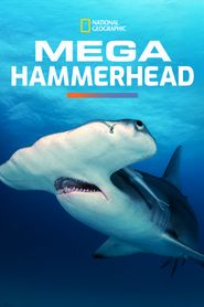  Mega Hammerhead Poster