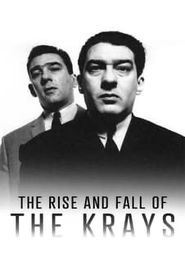  The Rise and Fall of the Krays Poster