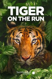  Tiger on the Run Poster