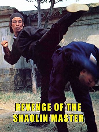  Revenge of a Shaolin Master Poster