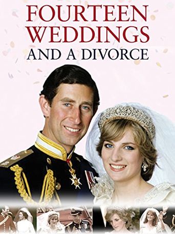 14 Weddings and a Divorce Poster
