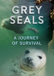  Grey Seals: A Journey of Survival Poster
