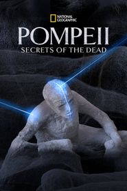  Pompeii: Secrets of the Dead Poster