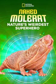  Naked Molerat: Nature’s Weirdest Superhero Poster