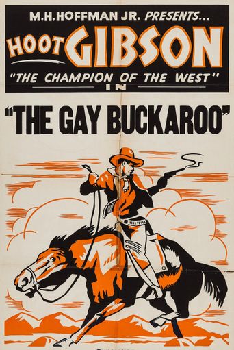  The Gay Buckaroo Poster