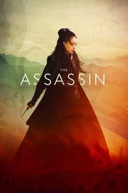  The Assassin Poster