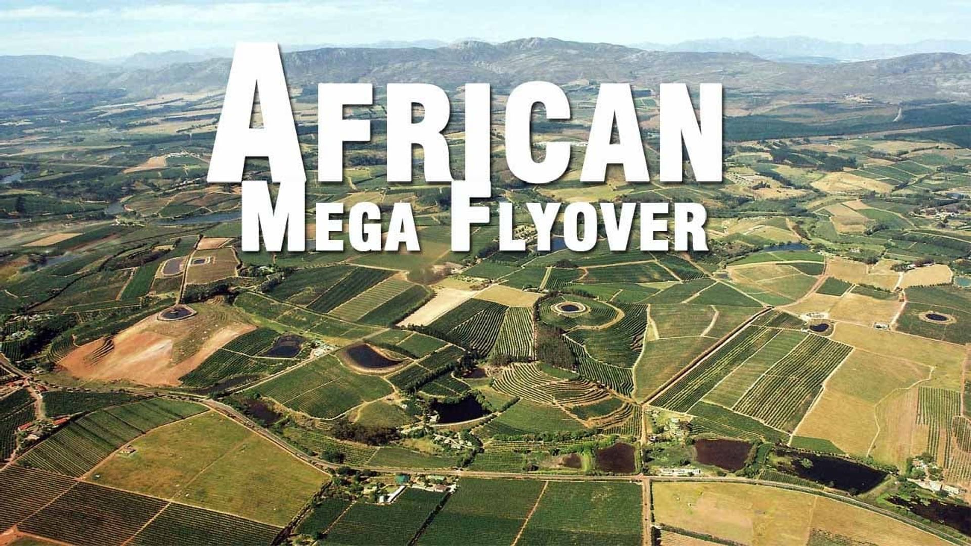 African Megaflyover Backdrop