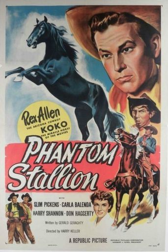  Phantom Stallion Poster