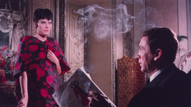 Blood and Black Lace Backdrop