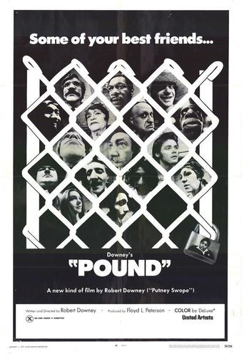  Pound Poster