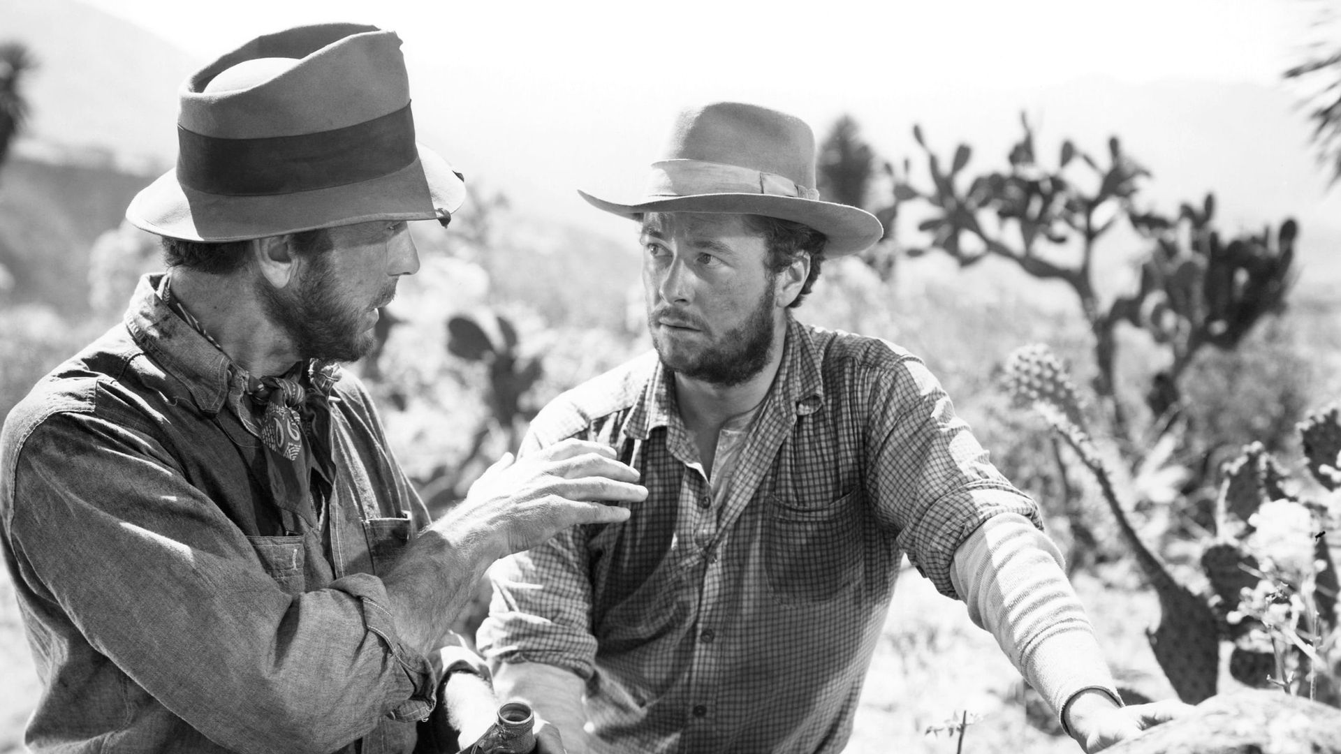 The Treasure of the Sierra Madre Backdrop