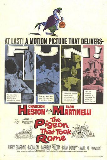  The Pigeon That Took Rome Poster
