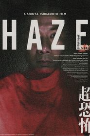  Haze Poster
