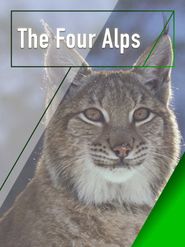  The Four Alps Poster
