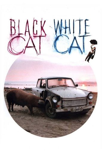  Black Cat, White Cat Poster