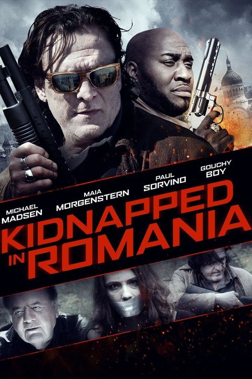 Kidnapped in Romania Poster