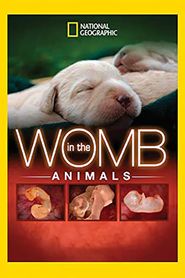  In The Womb: Animals Poster