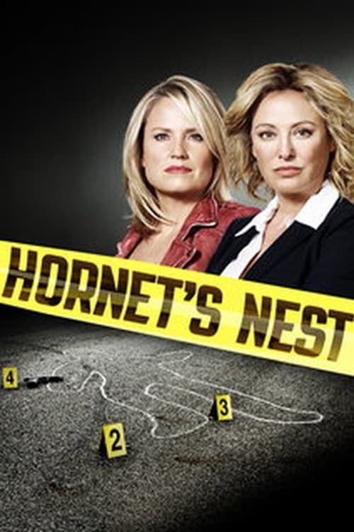 Hornet's Nest Poster