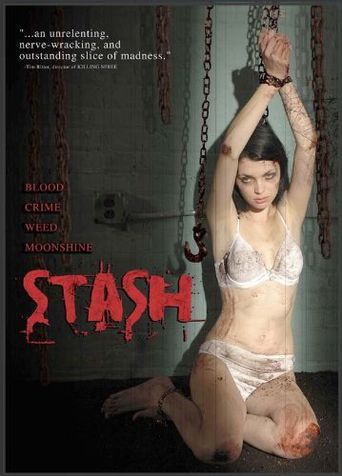 Stash Poster