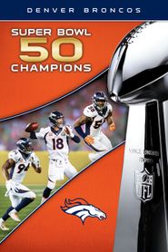  Super Bowl 50: Denver Broncos vs Carolina Panthers Poster