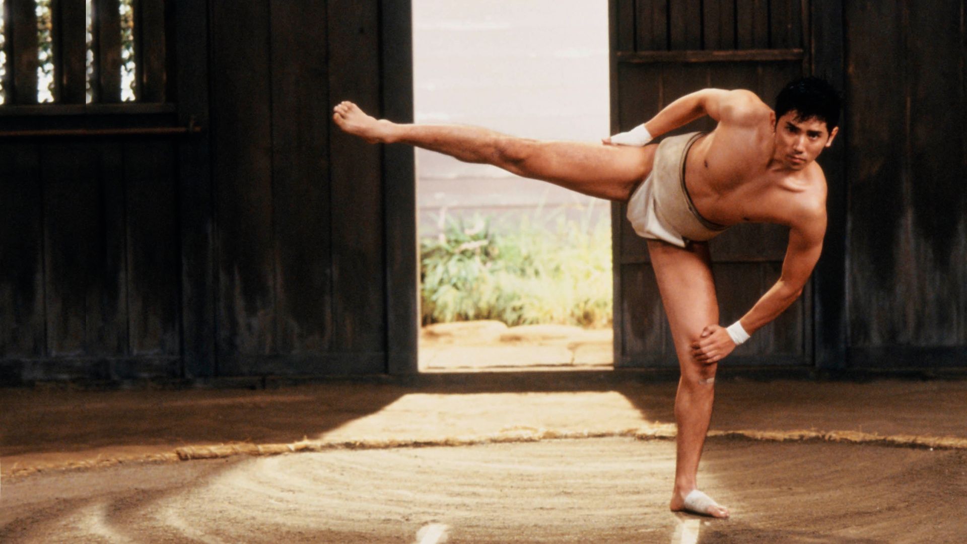 Sumo Do, Sumo Don't (1992) Where to Watch It Streaming