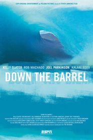  Down the Barrel Poster