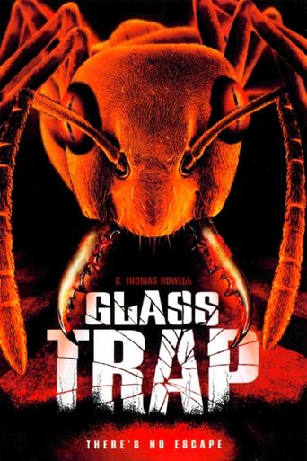  Glass Trap Poster