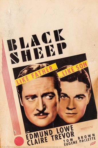  Black Sheep Poster