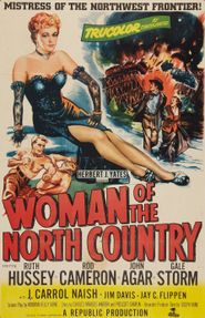  Woman of the North Country Poster