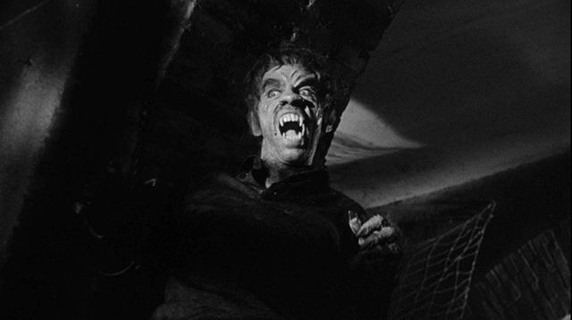 Werewolf in a Girls' Dormitory Backdrop