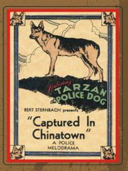  Captured in Chinatown Poster