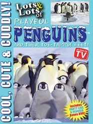  Lots and Lots of Playful Penguins: Cool, Cute and Cuddly Penguins Penguins Poster