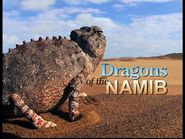  Dragons of the Namib Poster
