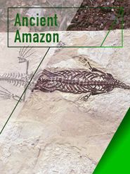  Ancient Amazon Poster