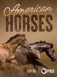  American Horses Poster