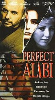Perfect Alibi Poster