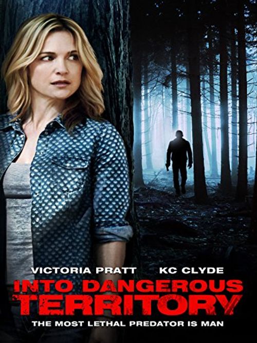 Into Dangerous Territory Poster