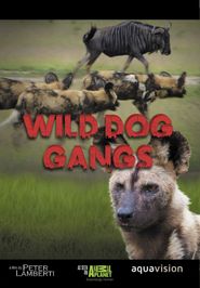  Wild Dog Gangs Poster
