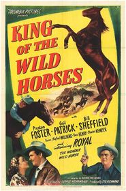  King of the Wild Horses Poster