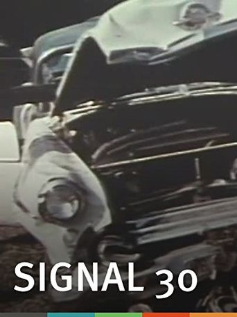  Signal 30 Poster