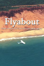  Flyabout Poster