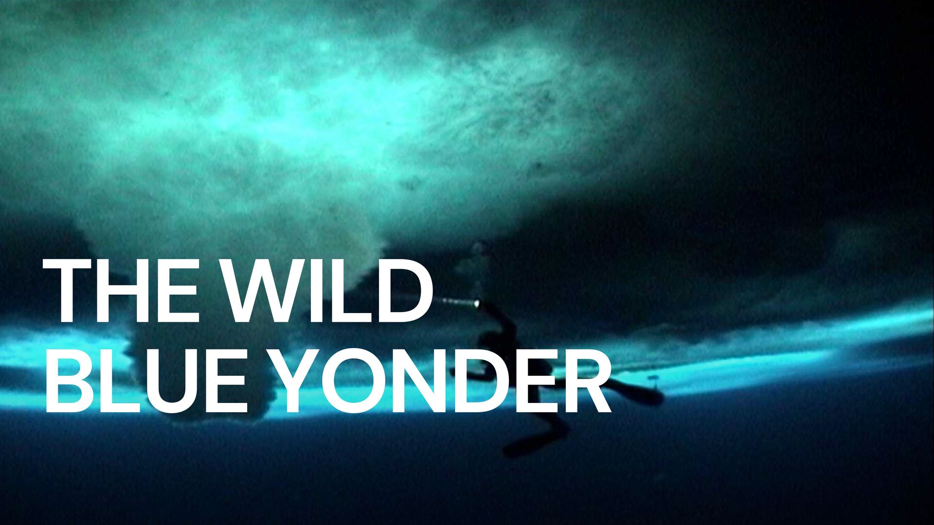 The Wild Blue Yonder Backdrop