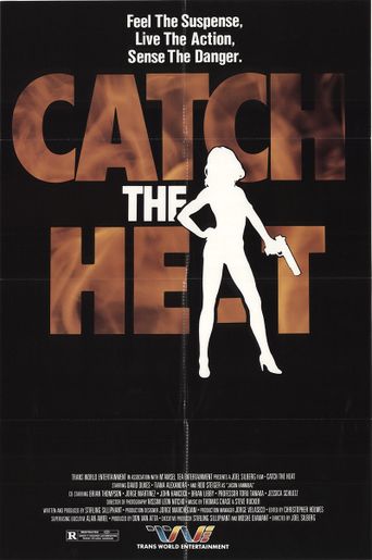  Catch the Heat Poster