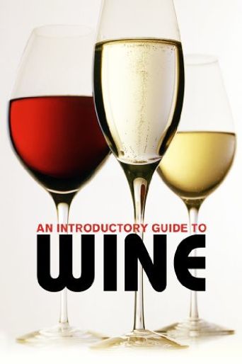  An Introductory Guide to Wine Poster