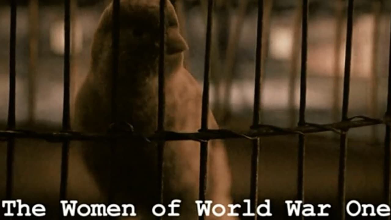 Women of World War One Backdrop