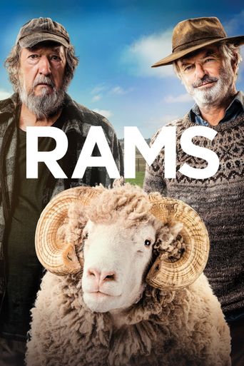 New releases Rams Poster
