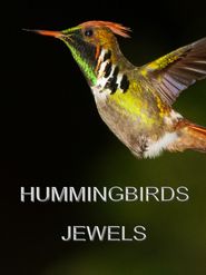  Hummingbirds Jewels Poster