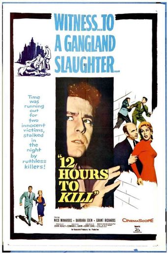  Twelve Hours to Kill Poster