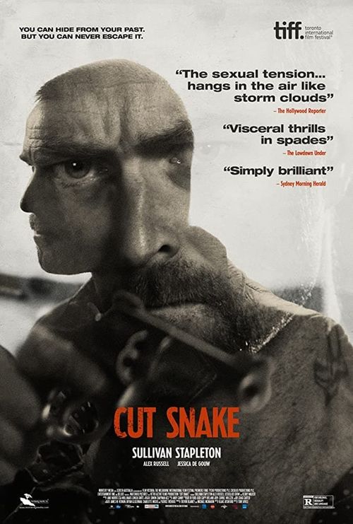 Cut Snake Poster