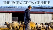  The Propagation of Sheep Poster